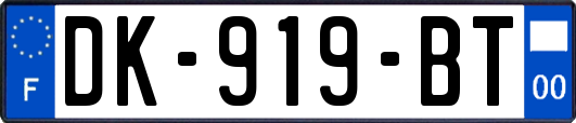 DK-919-BT