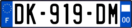 DK-919-DM