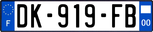 DK-919-FB