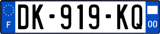 DK-919-KQ