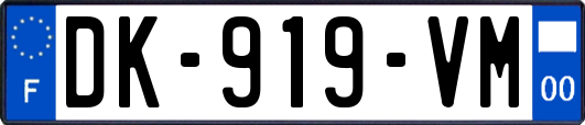 DK-919-VM