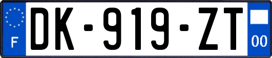 DK-919-ZT