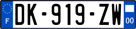 DK-919-ZW