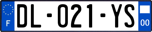 DL-021-YS