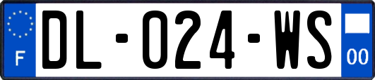 DL-024-WS