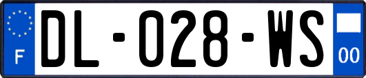 DL-028-WS