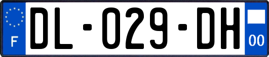 DL-029-DH