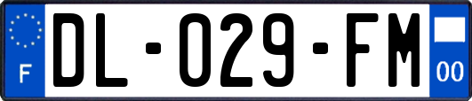 DL-029-FM