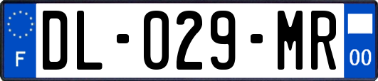 DL-029-MR