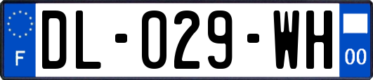 DL-029-WH