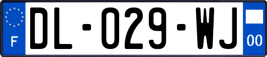 DL-029-WJ