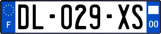 DL-029-XS