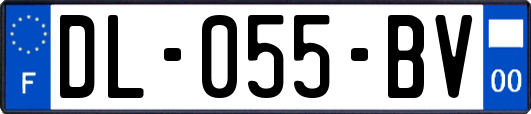 DL-055-BV