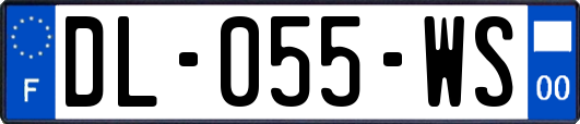 DL-055-WS