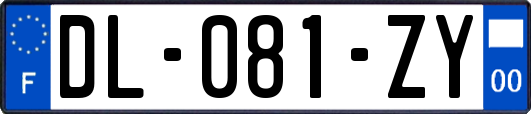 DL-081-ZY