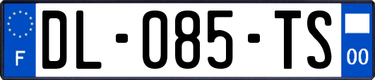 DL-085-TS