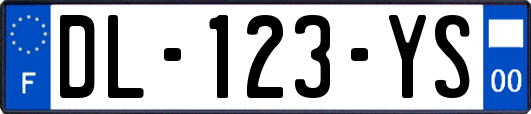 DL-123-YS