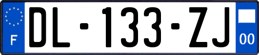 DL-133-ZJ