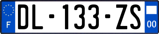 DL-133-ZS