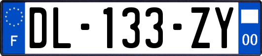 DL-133-ZY