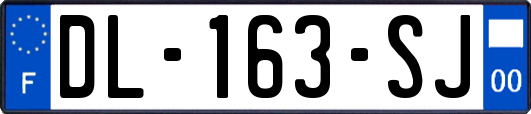 DL-163-SJ