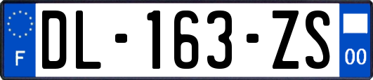 DL-163-ZS