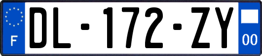 DL-172-ZY