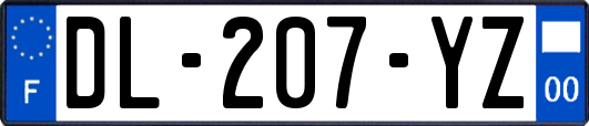 DL-207-YZ