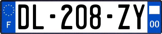 DL-208-ZY