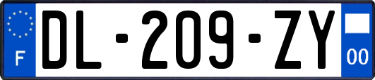 DL-209-ZY