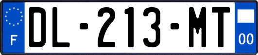 DL-213-MT