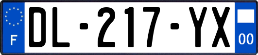 DL-217-YX