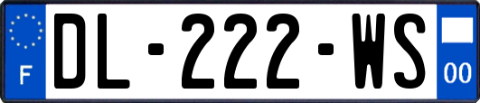 DL-222-WS