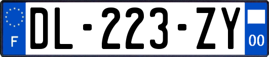 DL-223-ZY