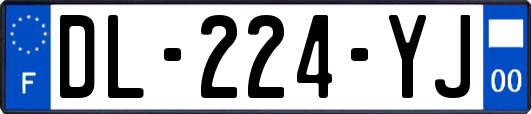 DL-224-YJ