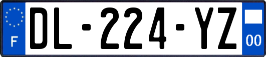 DL-224-YZ