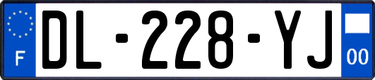 DL-228-YJ