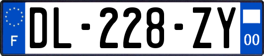 DL-228-ZY