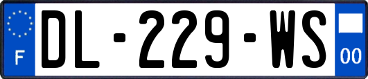 DL-229-WS