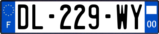 DL-229-WY