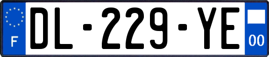 DL-229-YE