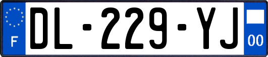 DL-229-YJ