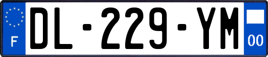 DL-229-YM