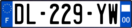 DL-229-YW