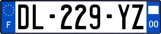DL-229-YZ