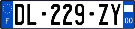 DL-229-ZY