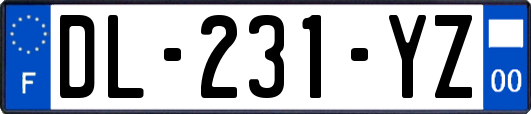 DL-231-YZ