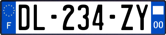 DL-234-ZY