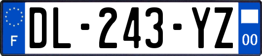 DL-243-YZ