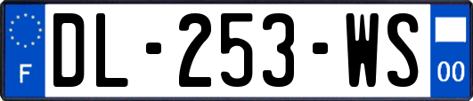 DL-253-WS